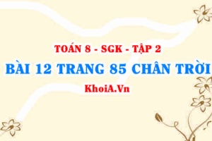 Bài 12 trang 85 Toán 8 Chân trời sáng tạo Tập 2
